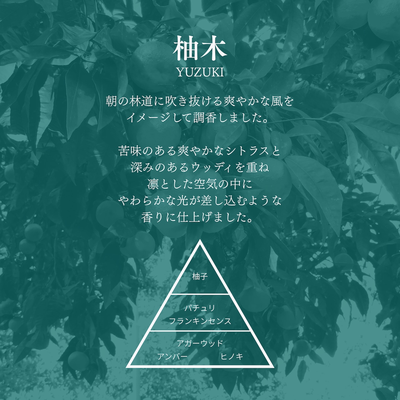 【gui専用】木芯アロマキャンドルリフィル