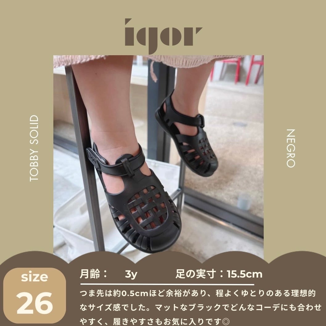【即納/送料無料】igor / TOBBY SOLID / ARENA
