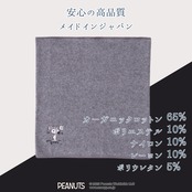 【紀州備長炭繊維】メンズはらまき PEANUTS