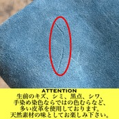 メディスンバック Lサイズ スウェード