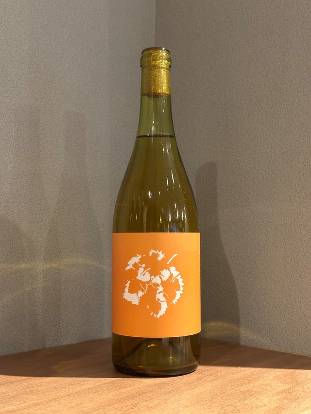 Grape ship こもれび　2022　白ワイン