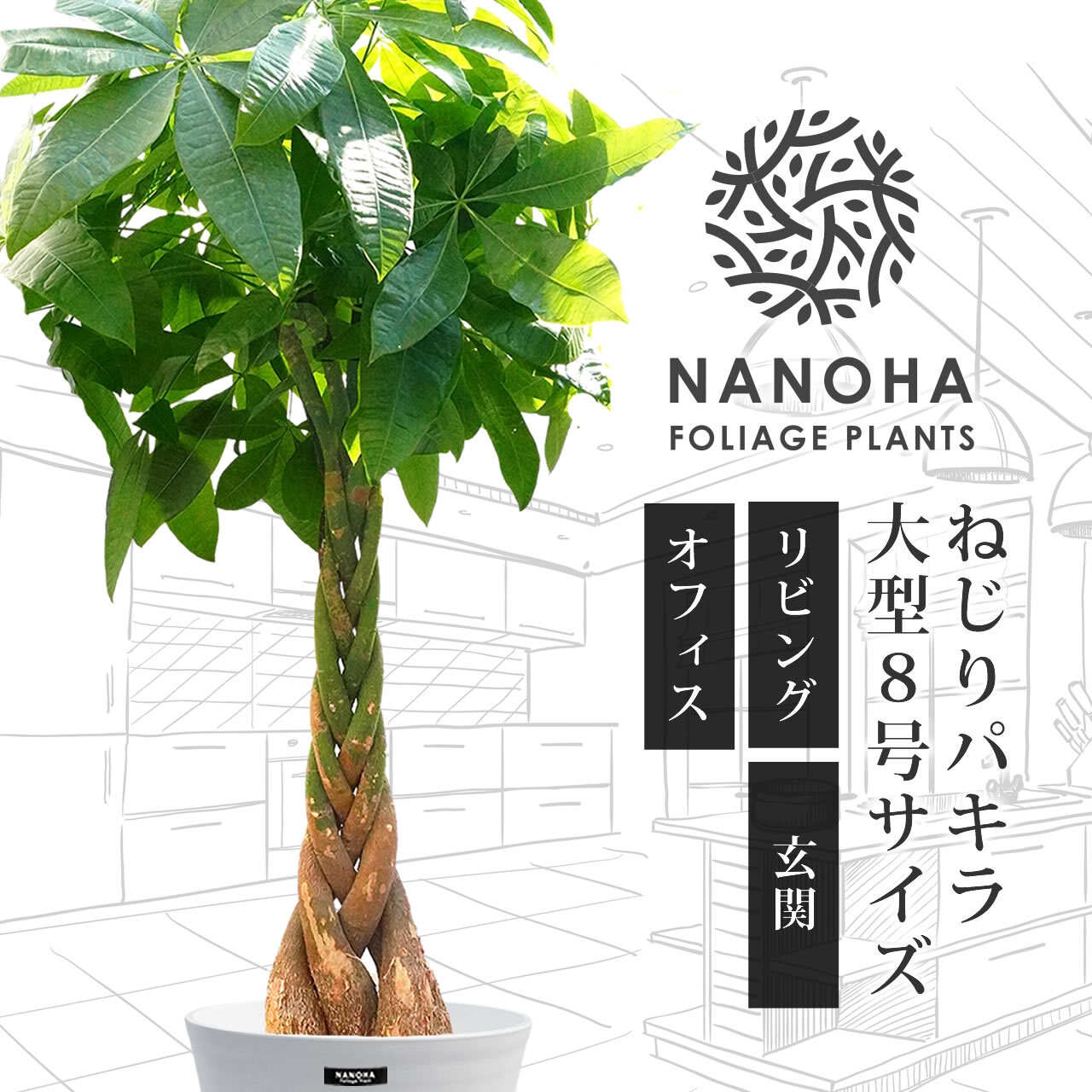 ねじりパキラ 育てやすい大型サイズ 8号 高さ120cm 観葉植物 受け皿付き