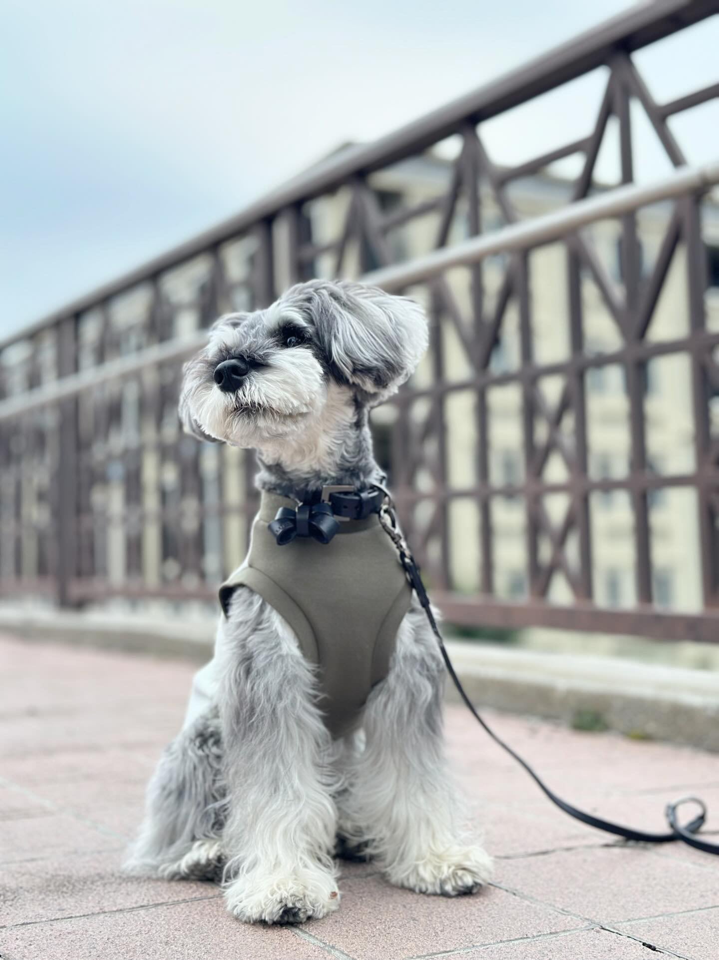 ハーフドット・タンクトップ〈KHAKI＆MINT〉 | n9un