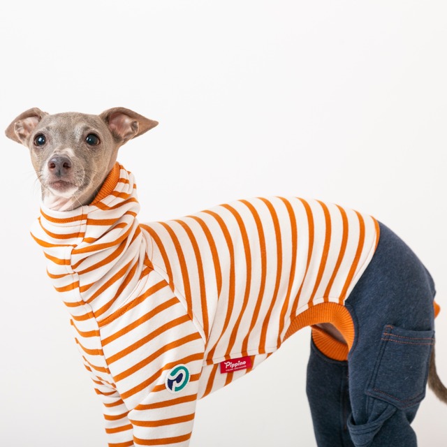 ボーダーファッションロンパース　orange / イタグレ服