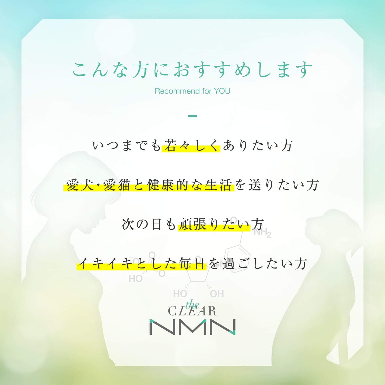 the Clear NMN | the Clear NMN
