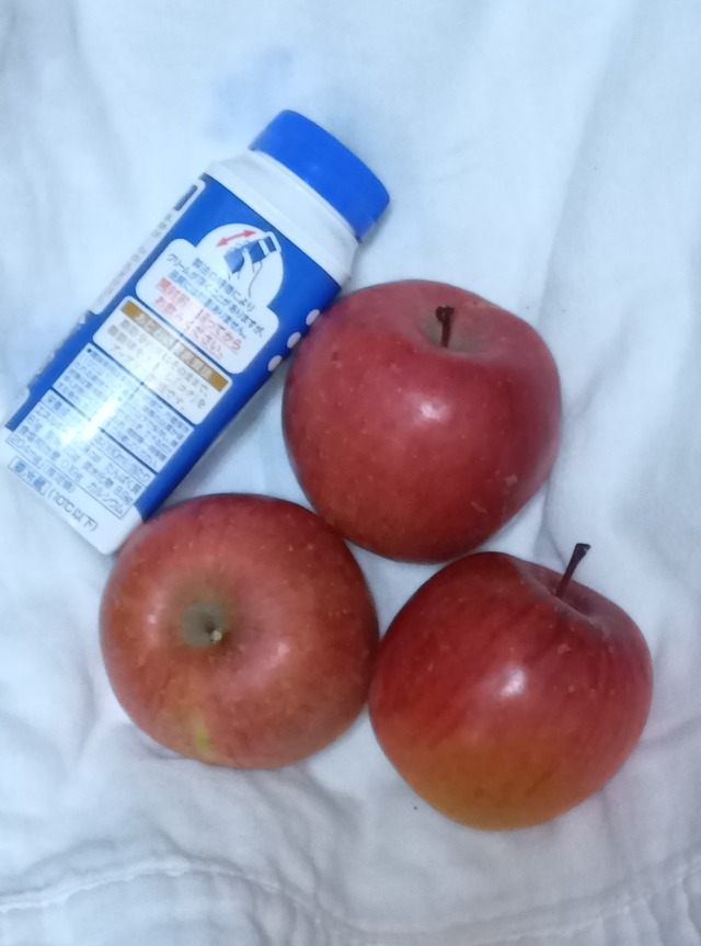 太陽の恵みシリーズ   100サイズ サンふじリンゴとドライブルーベリー他詰合せセット