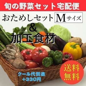 お試し旬の野菜＆加工食材：詰合せセット【Mセット（８～９種類）】「２～４人向き」宅配サービス【送料無料】