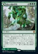 MTG《変わり樹の共生/Turntimber Symbiosis(ZNR)》日本語