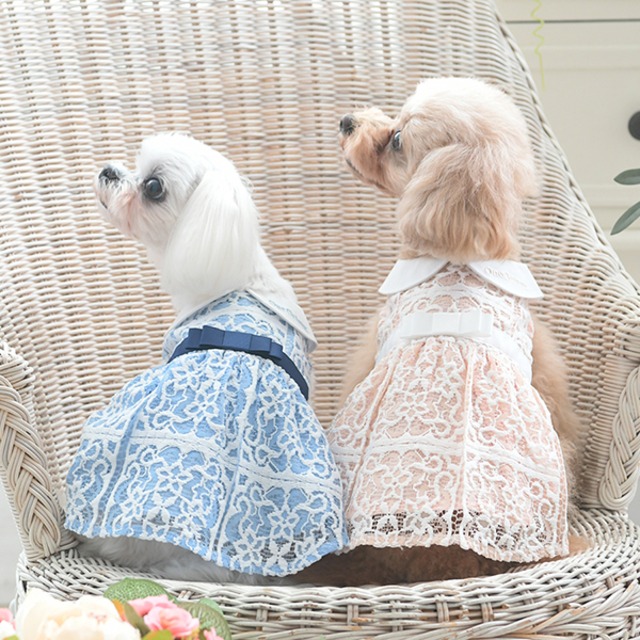 丸襟レースワンピ 　ONE OCTAVE（ワンオクターヴ）