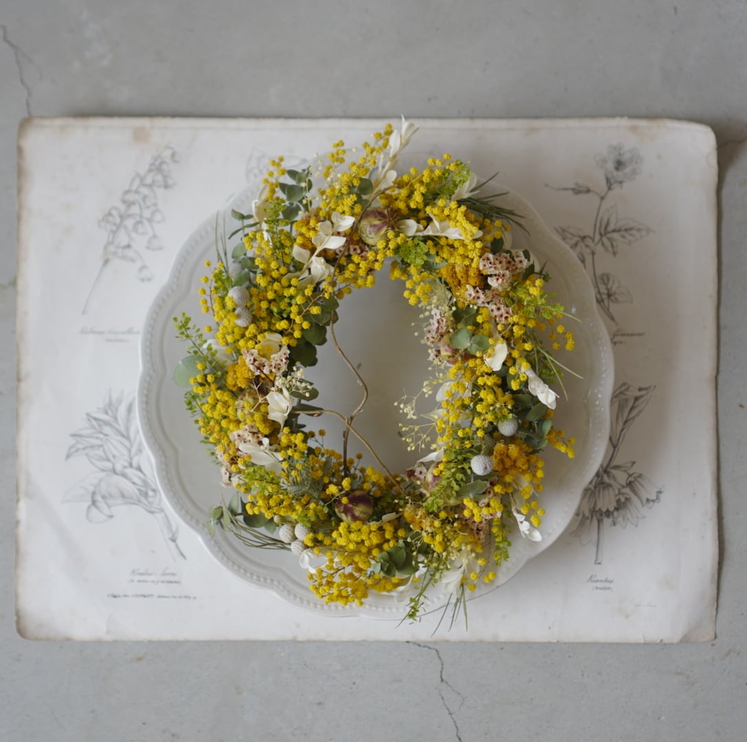 ミモザフライングリース