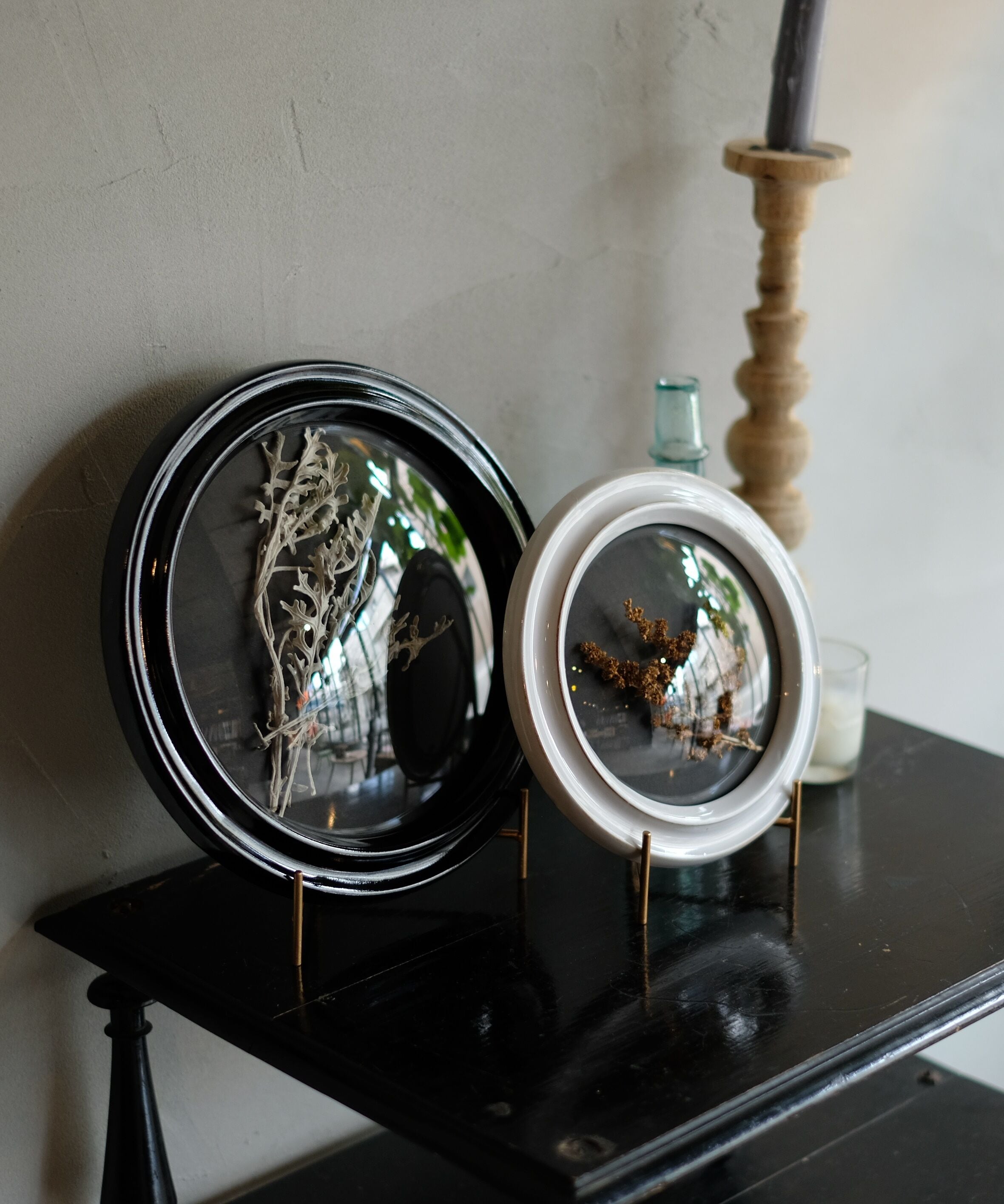 Convex Glass Case DF (L) | WEST VILLAGE TOKYO