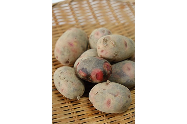 【ポテトフライ】グランドペチカ・500g(6/12発送開始)