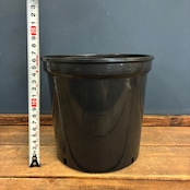 【レアアロイドフェア対象商品】モスポール鉢　17cm　黒