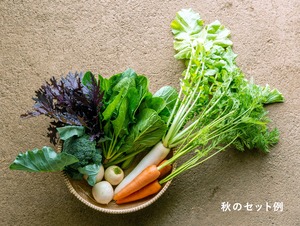 《月1 / ユギムラ受取》FIO野菜-定期便 Mサイズ