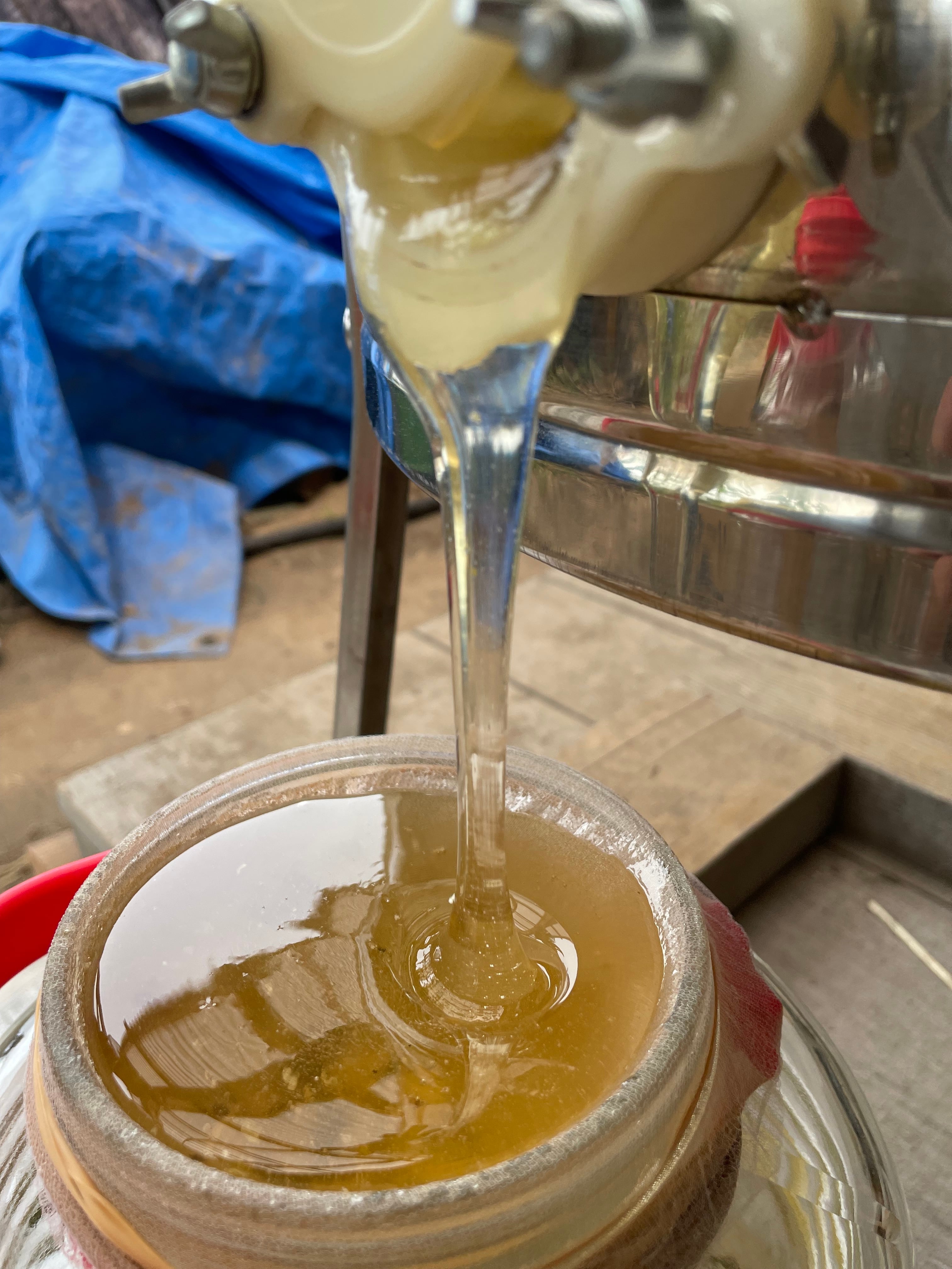 信州産 純粋生はちみつ『アカシア蜂蜜2025』140g（薬剤不使用、花粉無