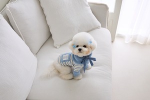 即納 【mabellefifi】ポグルフードケープ  blue