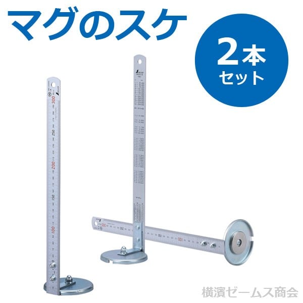 11月25日限定価格！　enoi ガラスマグ　台紙付き　set 写真台紙 No.718 6切サイズ 1面 （タテ） クリーム - ハクバ写真産業