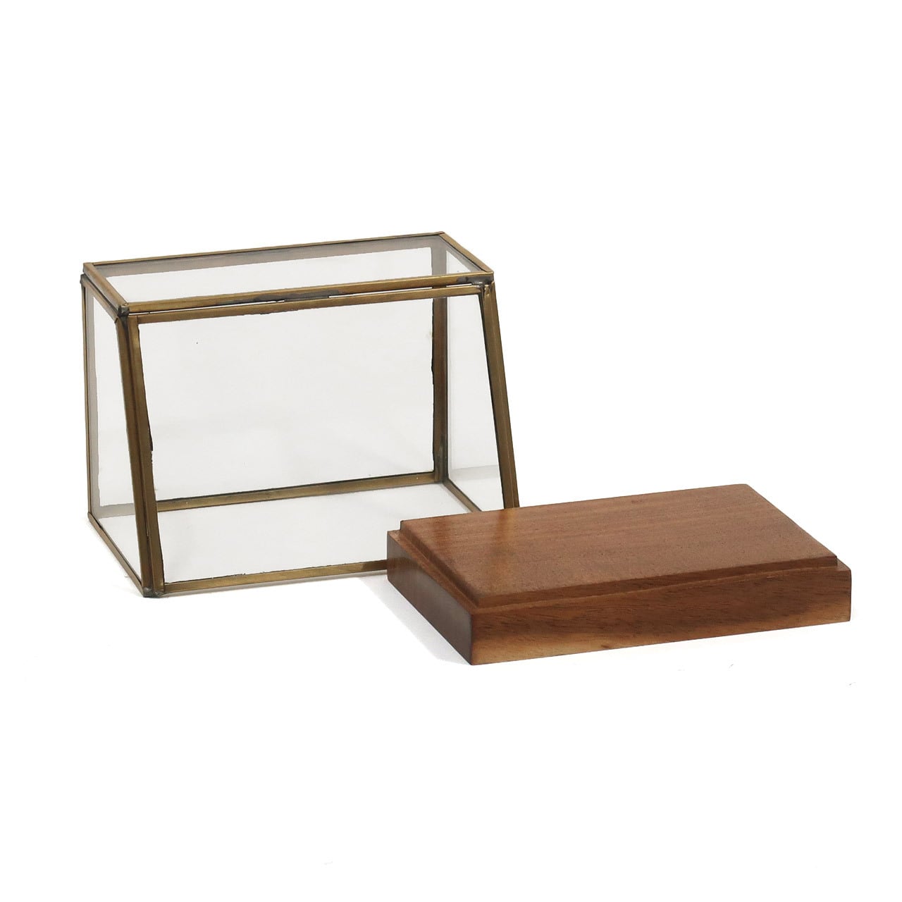alten ブラスショーケース（S） | Zakka so-la