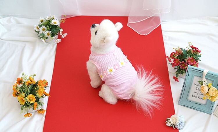 【SALE】chacha flower top S ~ XL 2color / 犬服 春夏 新作 袖なし トップス 可愛い ドッグウェア わんこ服 Tシャツ