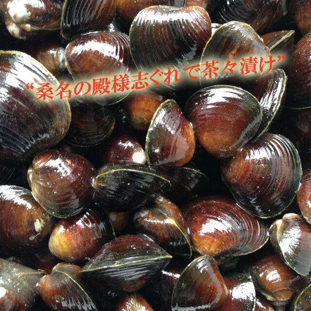 活き！大和しじみ2kg（桑名産） | しじみ屋桑名