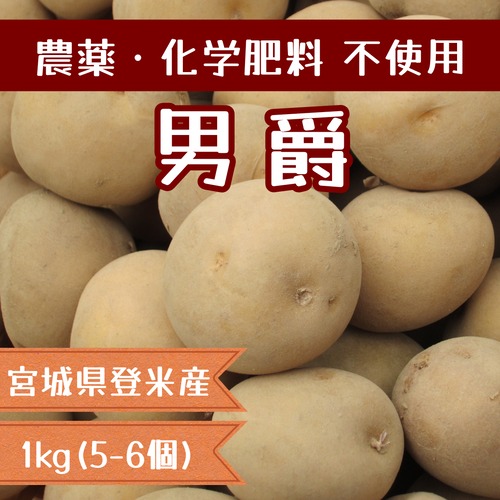 じゃがいも(男爵) 1kg
