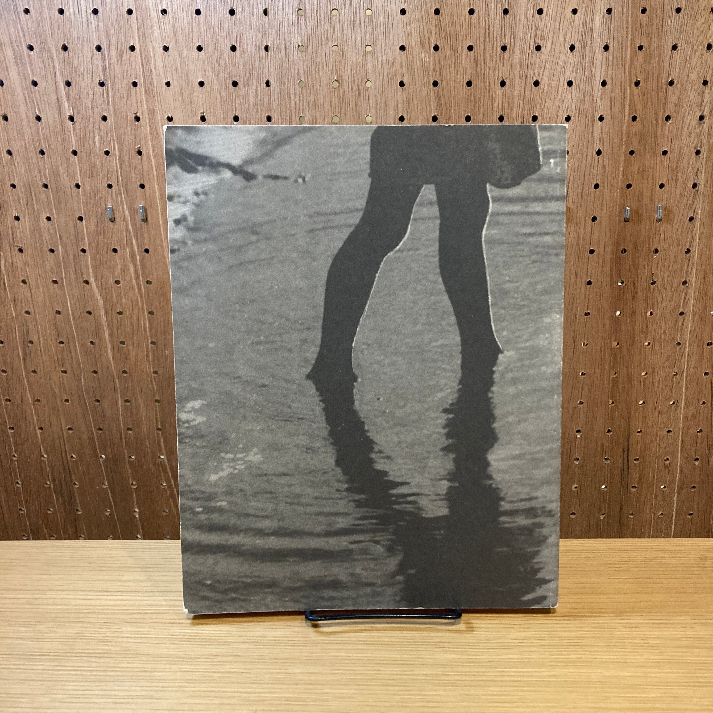 光のノスタルヂア 小関庄太郎と日本の芸術写真 | 百年