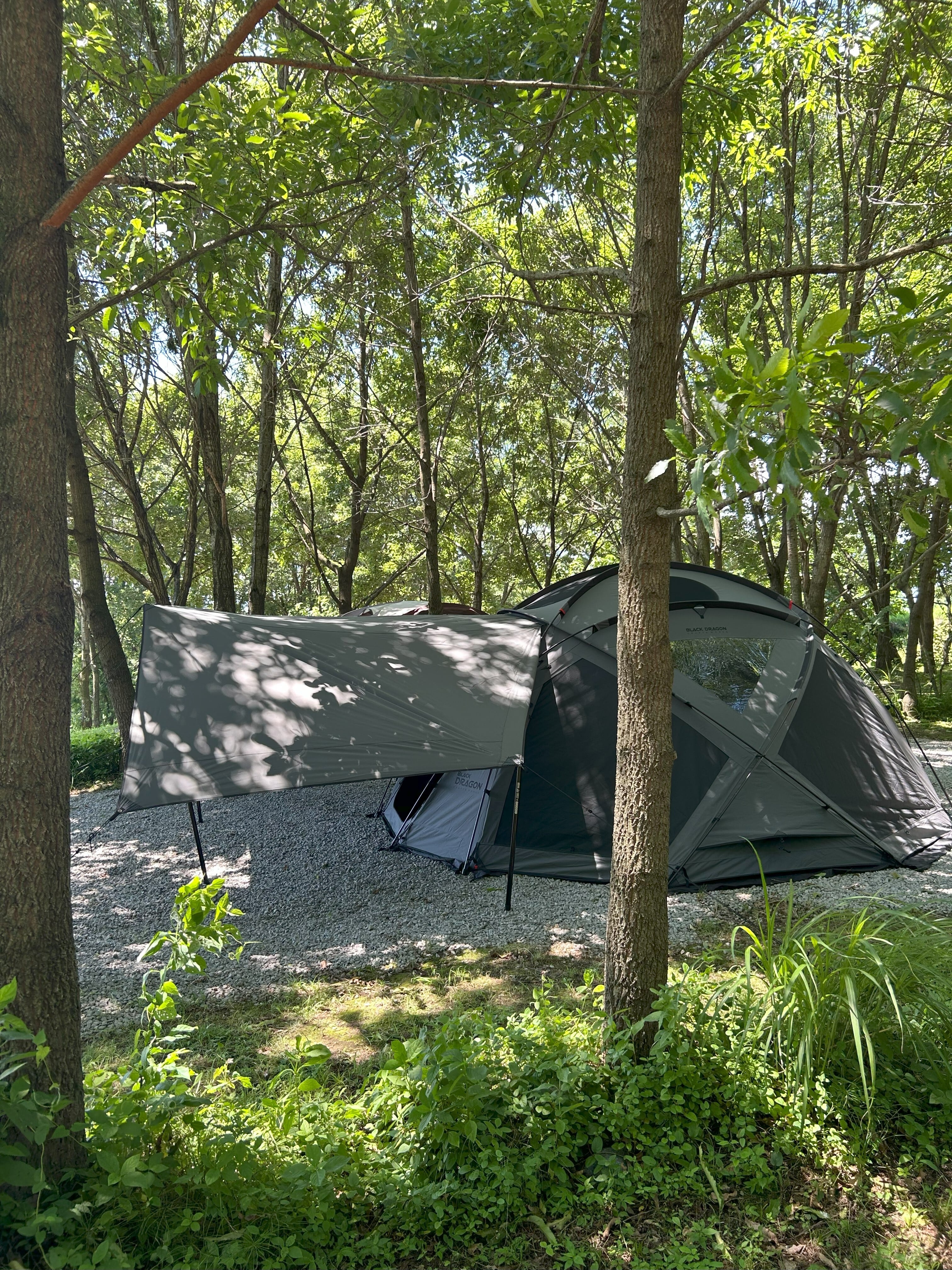 Purple] Black Dragon 450 Pro 専用タープ Exclusive Tarp 2224040007