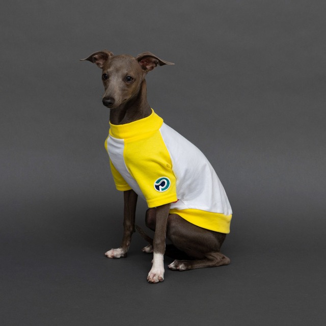 ラグランTシャツ　yellow / イタグレ服