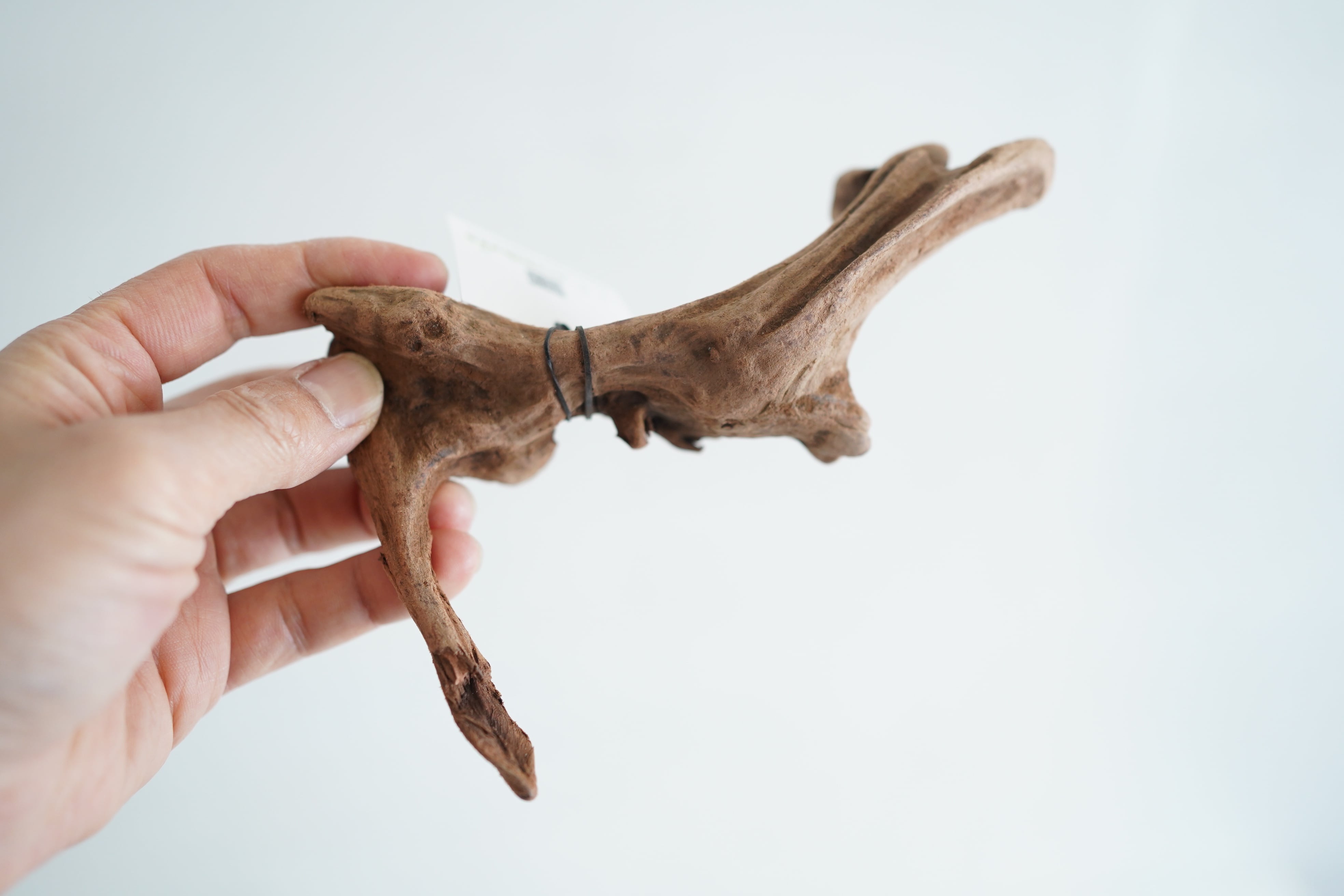 テラリウム用マングローブ系流木 S◇フィット容器に入るサイズ◇形状