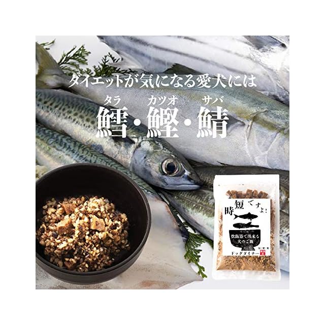 ELMO オーガニック ドッグフード 4kg