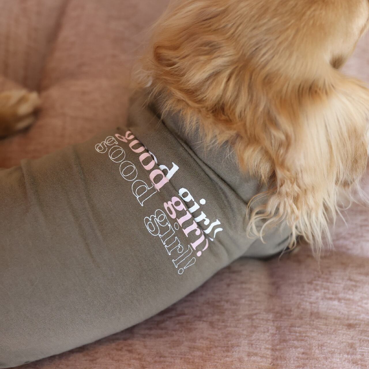 3点おまとめ未使用 ラムピノクチュール good girl Tシャツ 犬服 未使用 ラムピノクチュール good girl Tシャツ 犬服 ダックス - メルカリ