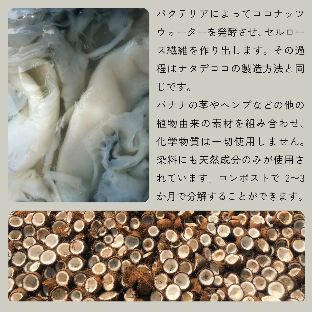 Vale　名刺入れ ココナッツ/ジェットブラック