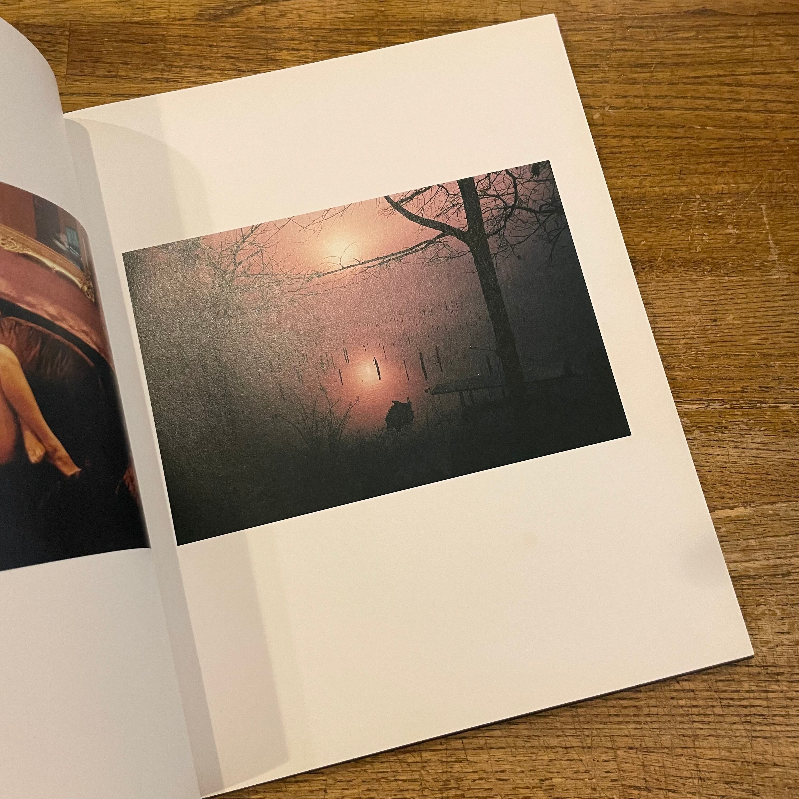 Between us and the sea / Tamara Lichtenstein | 百年