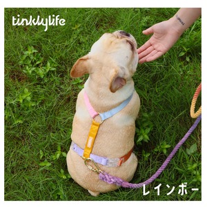 【XXS ~ M】Tinklylife Fantastic イージーウォークハーネス RAINBOW