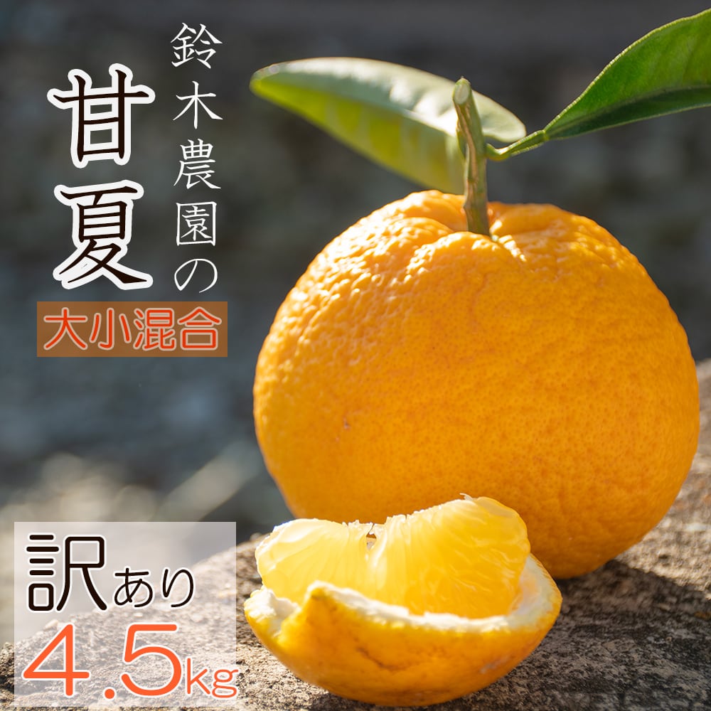こずみかん お歳暮】◎JAみなみ筑後 山川みかん『マイルド130』M玉 約4㎏ ※11月30