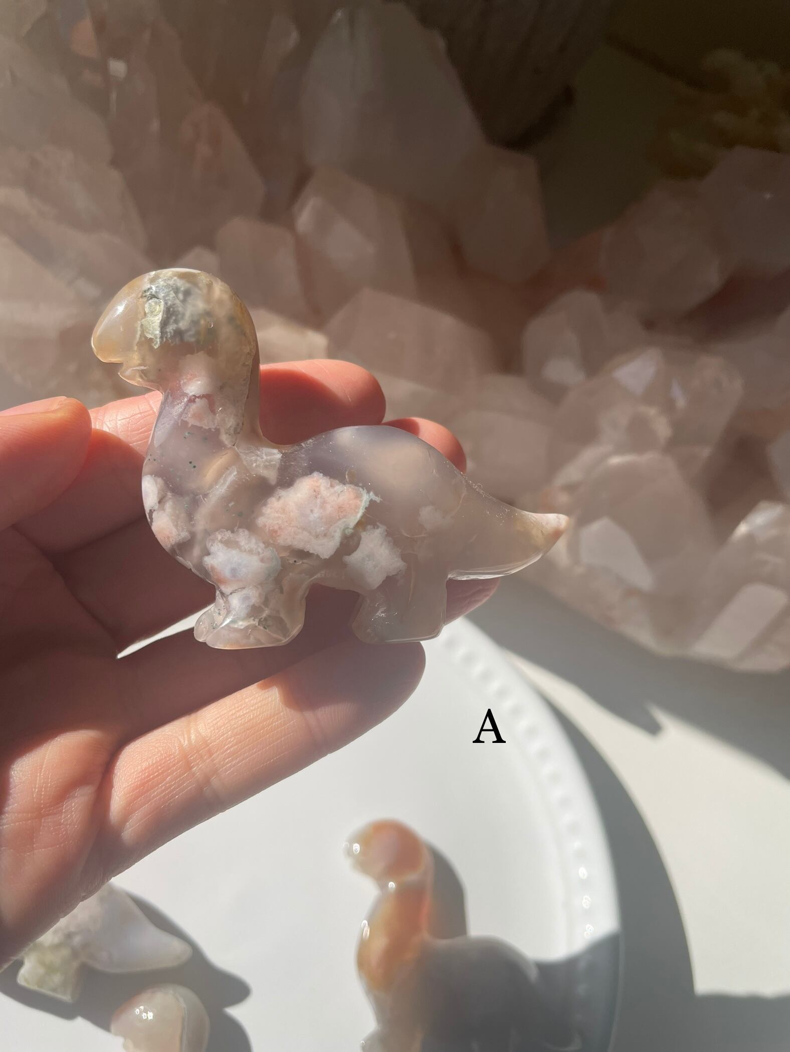 Flower Agate Dinosaur/ フラワーアゲート　恐竜