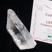 レムリアンシード 水晶 原石 ブラジル ミナスジェライス州 コリント産 証明書付属 一点物 271-698