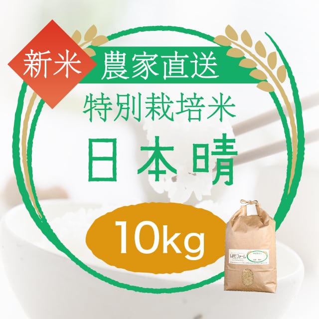 日本晴 農家直売・特別栽培米 玄米10kgまたは白米・うまみ白米・無洗米