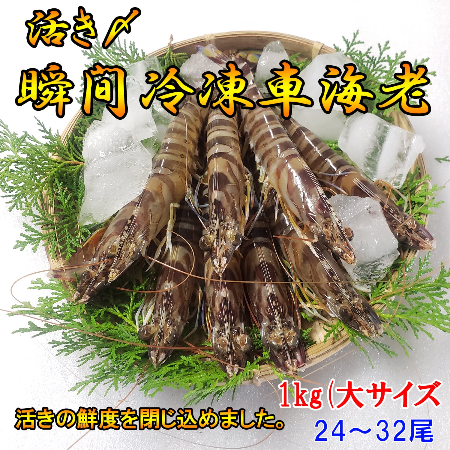 瞬間冷凍車海老 | 車海老の通販 ｜ くるまえびや海老吉 <Web直営店