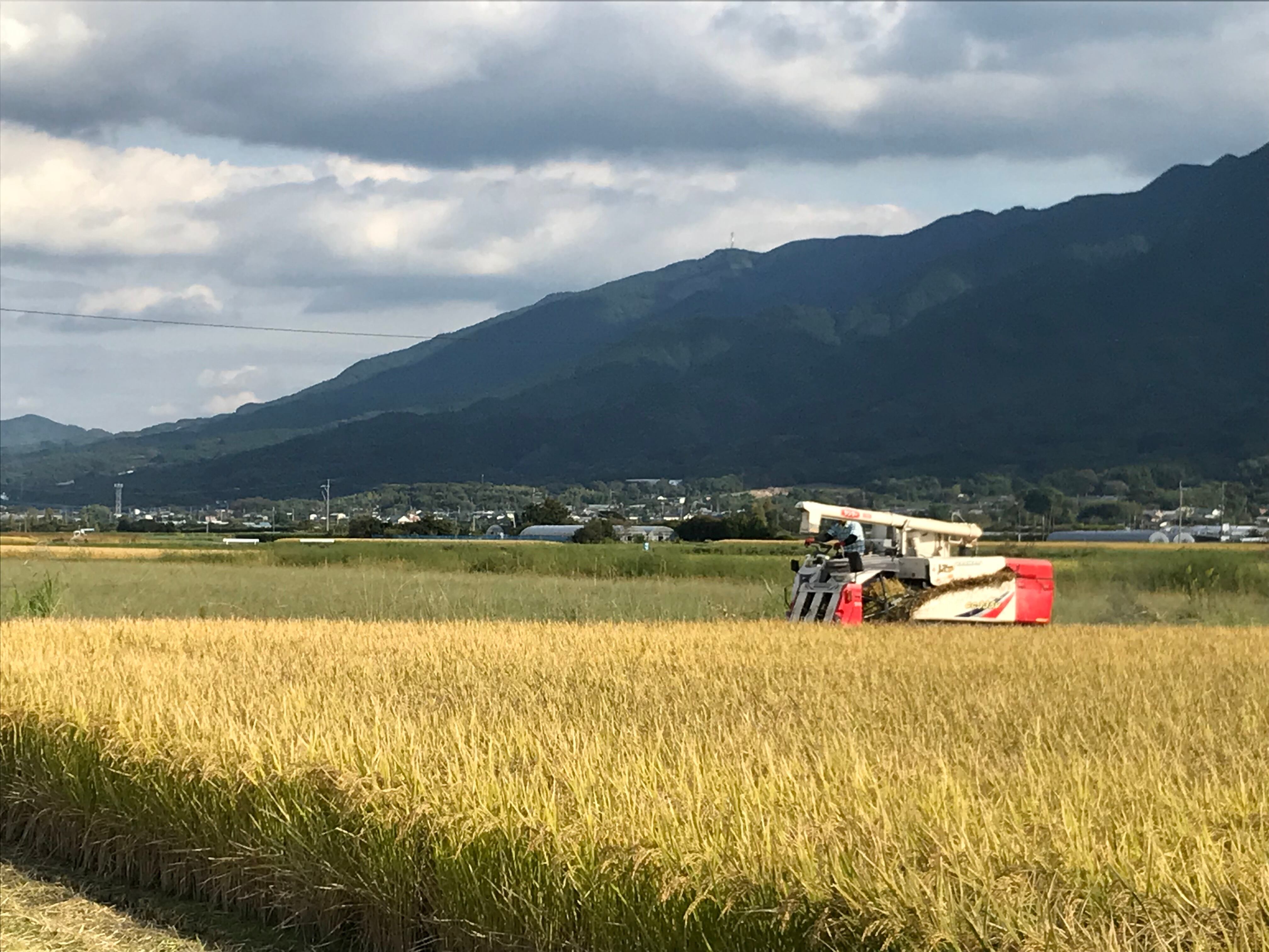 【10kg】夫婦米 白米