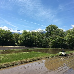 【令和7年産・新米】冷めても美味しい！【五百川】白米・2kg　特別栽培米　こぴっと米