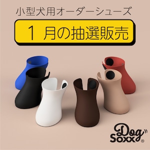 【１月販売分】小型犬用オーダーメイドシューズ DogSoxx 散歩用