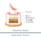 ★【淀屋橋店で受け取り】プティガトー４点セット