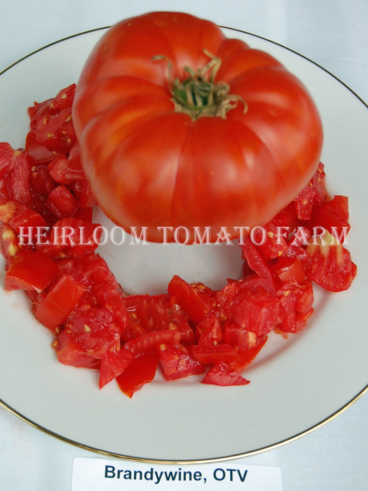 Heirloom Tomato® Brandywine OTV エアルーム・トマト・ブランディワイン・OTV Heirloom