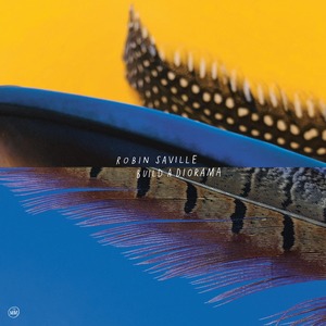 【CD】Robin Saville - Build A Diorama（Morr Music）