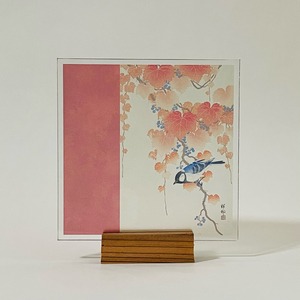 小原古邨　桐に四十雀 / Titmouse on a Paulownia Tree