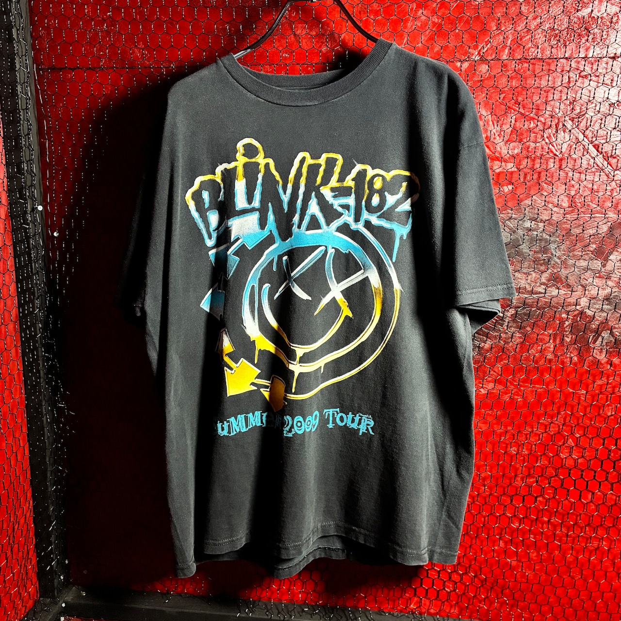 00s DELTA メキシコ製Blink-182 バンドTシャツ 2009ツアー