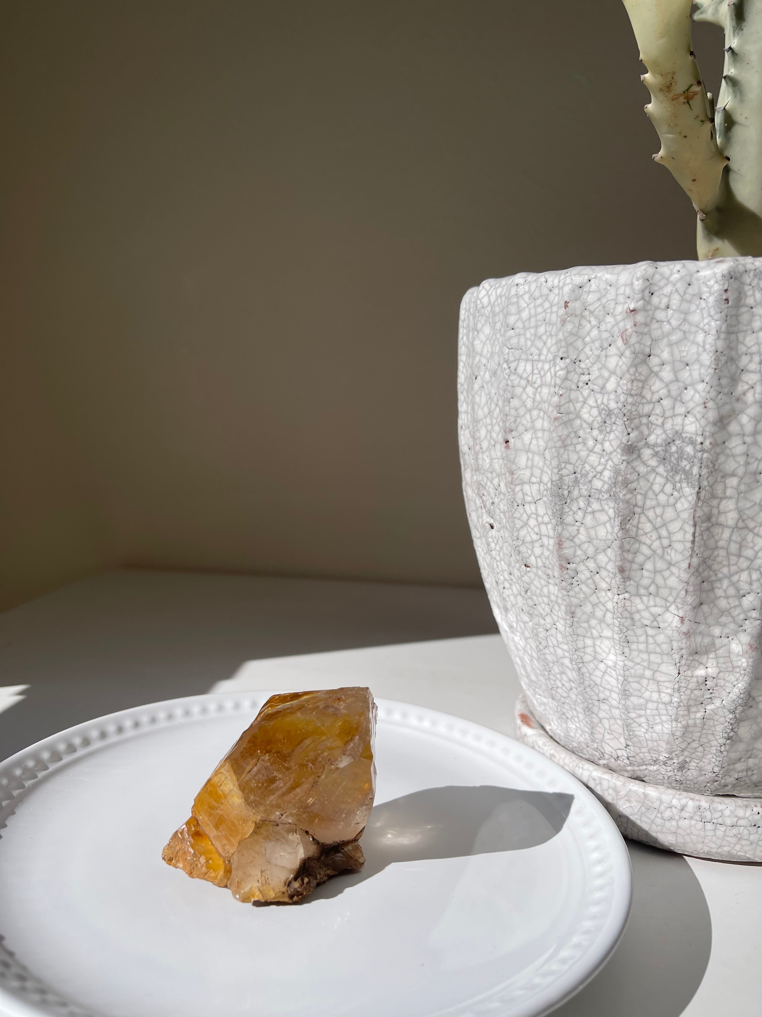 Ganesh Himar Golden Healer / ガネーシュヒマールゴールデンヒーラー