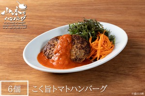 【雨の日ランチのストックに】こく旨トマトソースハンバーグ 冷凍 1種 全6個