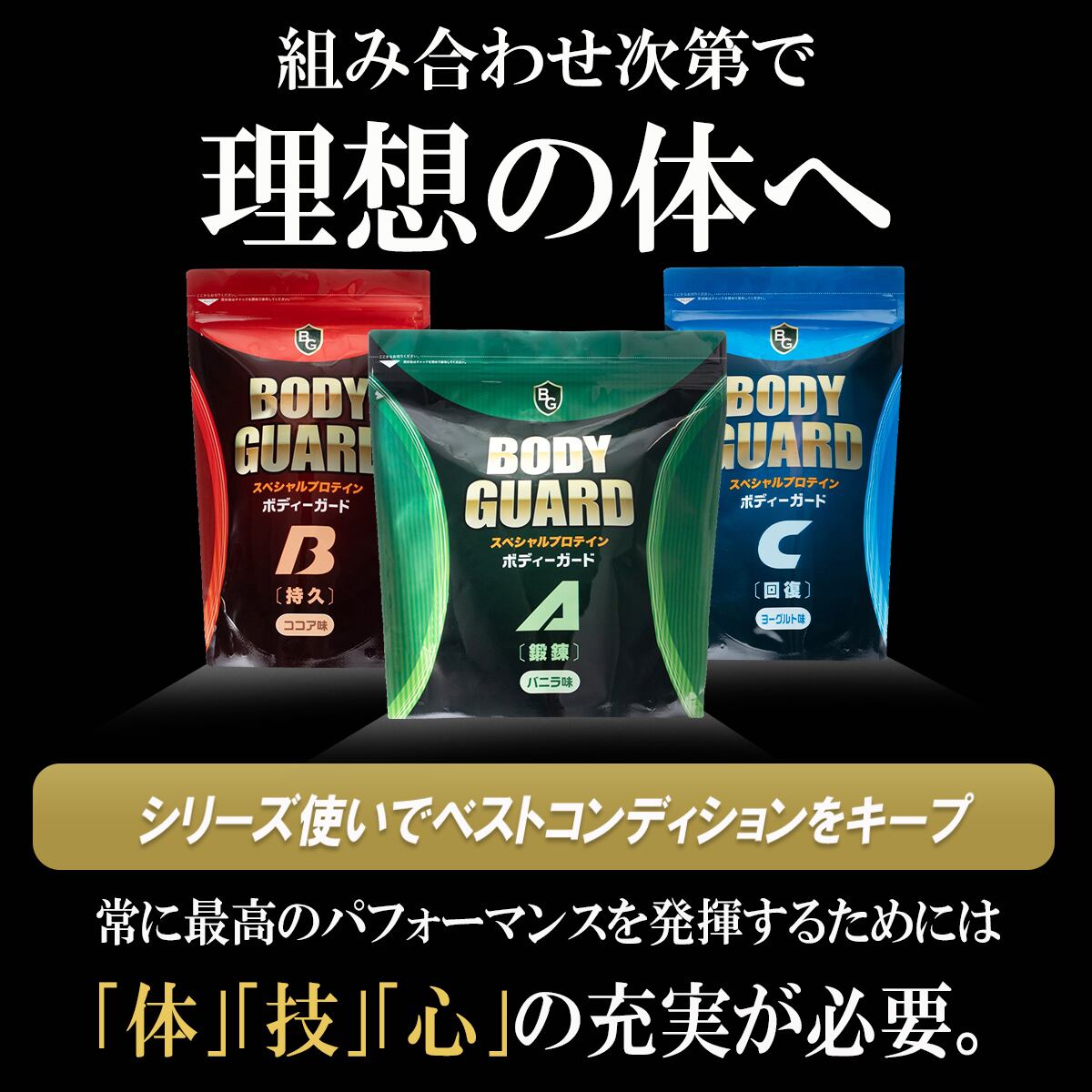 スペシャルプロテイン ボディガード3袋セット 2.2kg | NOIKA SHOP